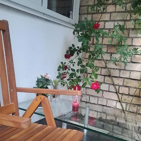 House Red A Rose * Riga